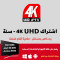 اشتراك iptv فور كي 12 شهر